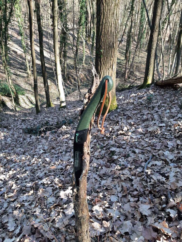 Survival Saw Facts, Bahco Laplander Folding Saw Hanging on a Sapling in the woods surounded by trees and dry leaves on a bright day