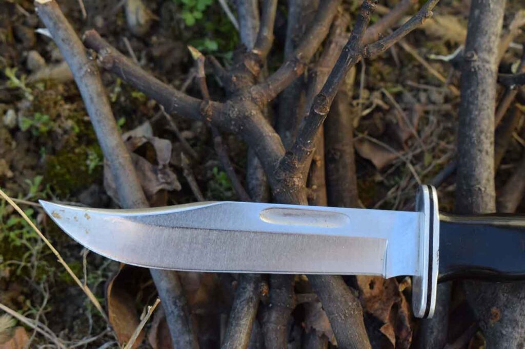 Buck 119 Hunting Knife with a 420hc Blade placed on twigs in the woods on a sunny day