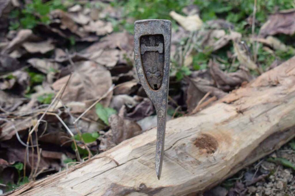 The Eye of a carpenters Axe on a log surrounded by green grass and dry leaves