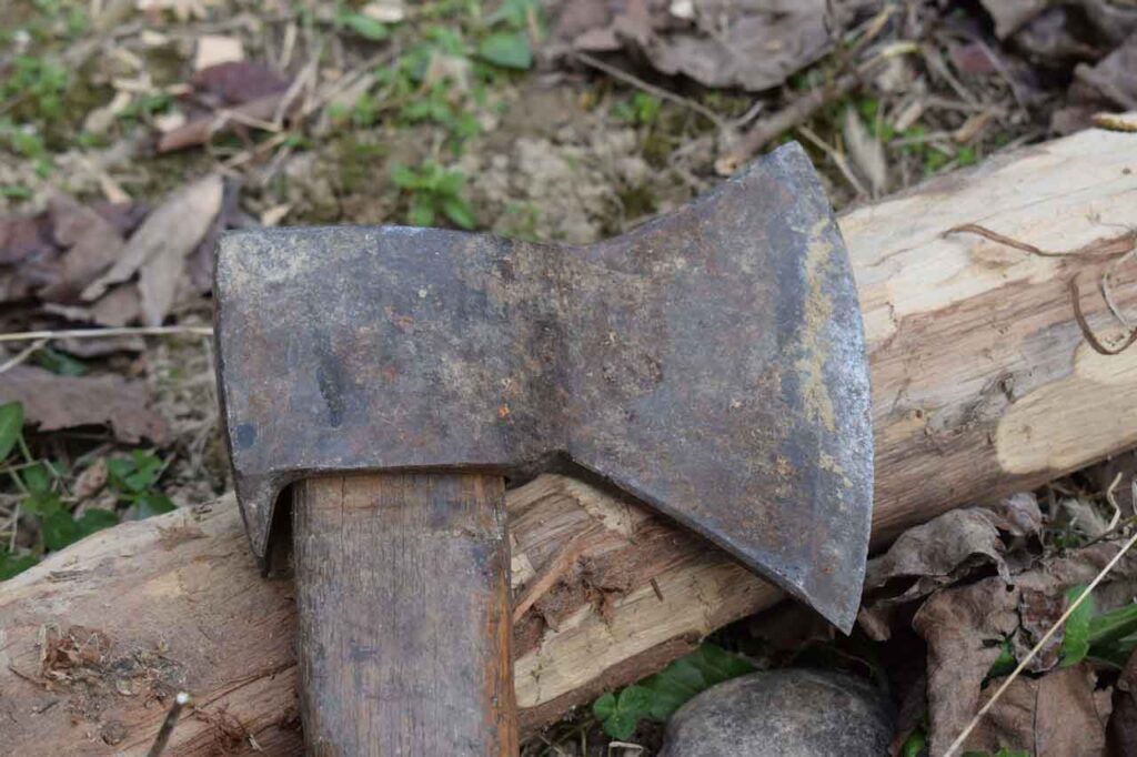 Carpenters Axe Head laying on a log in the forest surrounded by dry leaves on a cloudy day