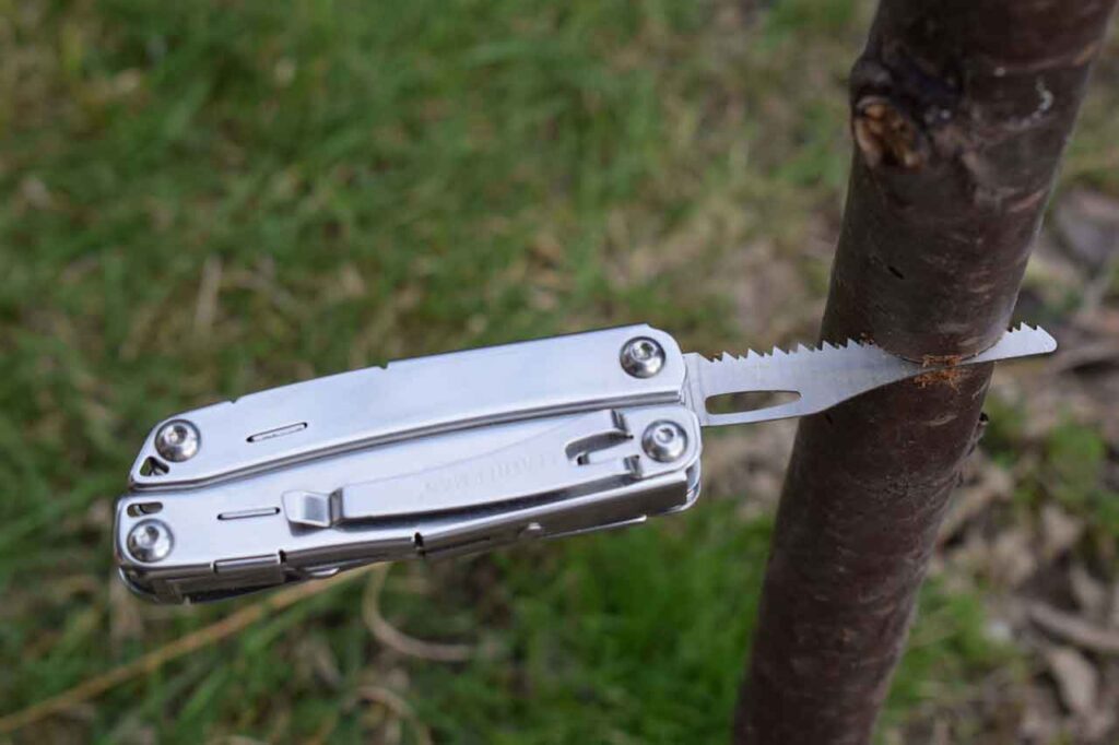 The best survival multi-tool. Leatherman multitool sawing into a piece of wood in the woods on a sunny day