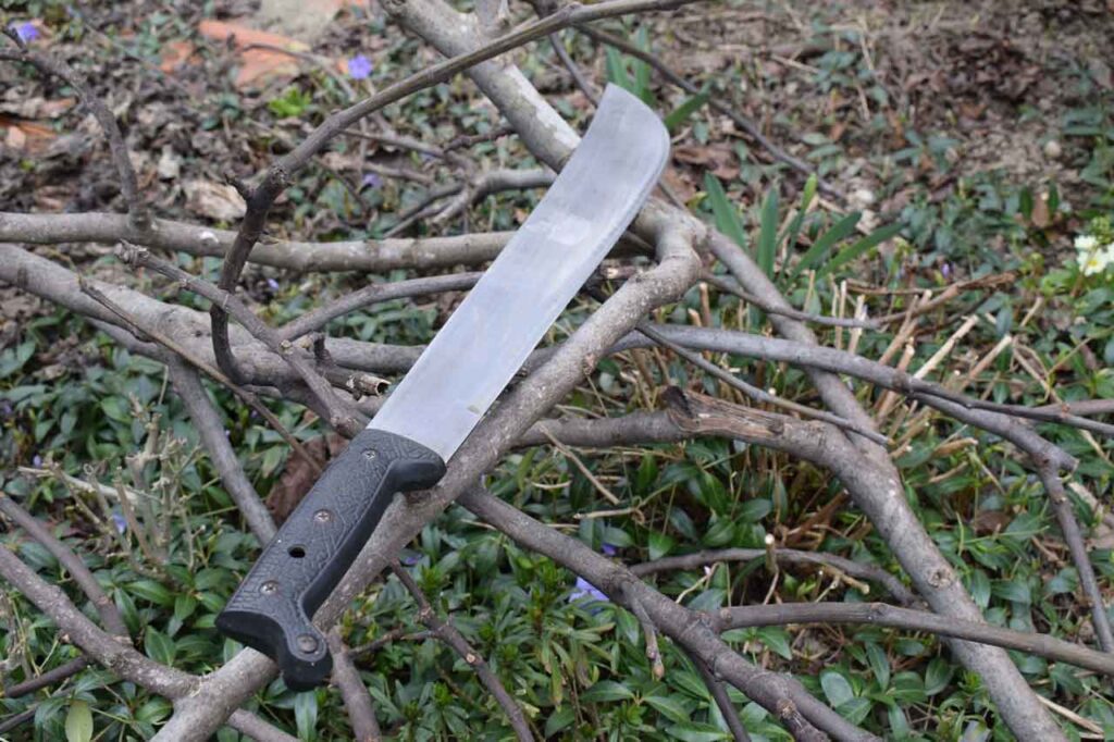 Best Machetes In 2022, A Machete laying on some twigs in the woods on a cloudy day