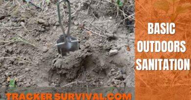 Basic Outdoors Sanitation .A garden trowel beside a shallow hole in the ground