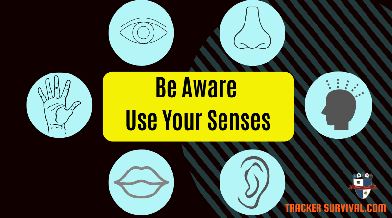 Situational Awareness Training , with 6 images of the senses, sight, sound, touch, smell, taste, hearing and the 6th sense