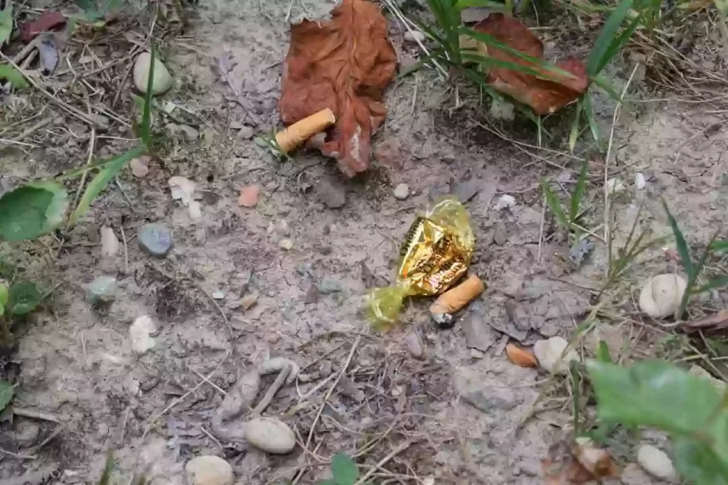 Two Cigarette Butts and a candy wrapper littering the forest