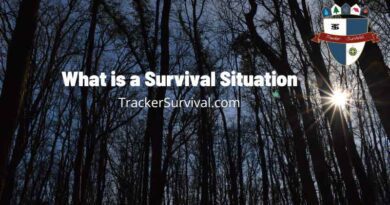 Trees In The Woods with What Is A Survival Situation Written In Bold Letters