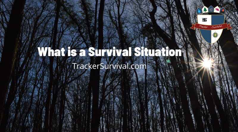 Trees In The Woods with What Is A Survival Situation Written In Bold Letters