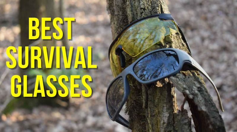 A pair of Wiley X Safety glasses and a pair of Sunglasses on a Tree in the woods with The Words Best Survival Glasses Written In Bold Yellow On the Left Of The Image