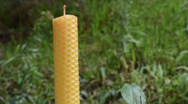 A Dark Yellow Candle That Can Be Used As Light In A Survival Situation, With A Blurred Grass Background