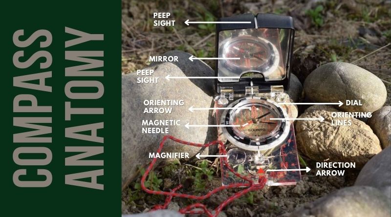 An Infogram Of Compass Anatomy With An Image Of A Compass On The Ground Surrounded By Grass And Stones And The Words Compass Anatomy Written In Gray on A Dark Green Background On The Left Side Of The Image the Left Side