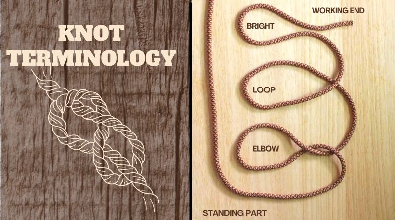 An Infogram on Knot Terminology