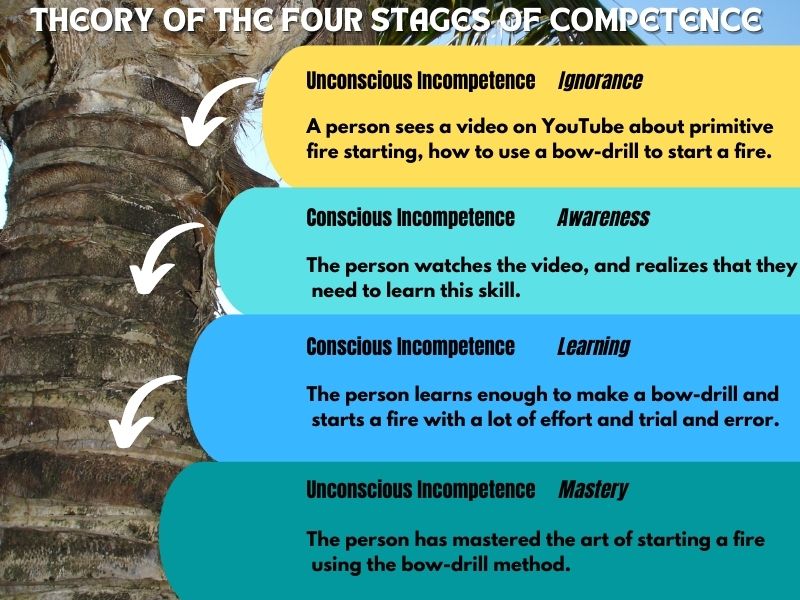 An Infogram On The Theory Of The Four Stages Of Competence