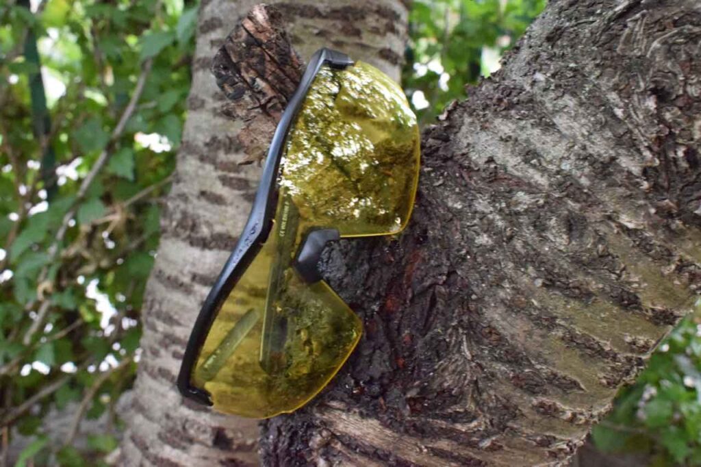 A Pair of Yellow Lens Safety Glasses on A tree