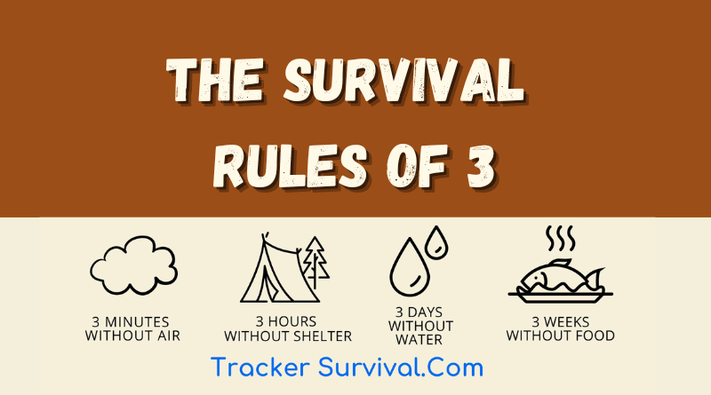 The Survival Rules Of 3