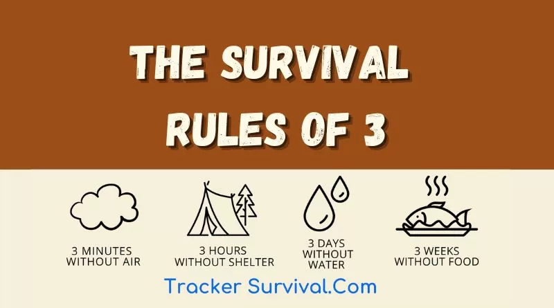 The Survival Rules Of three.